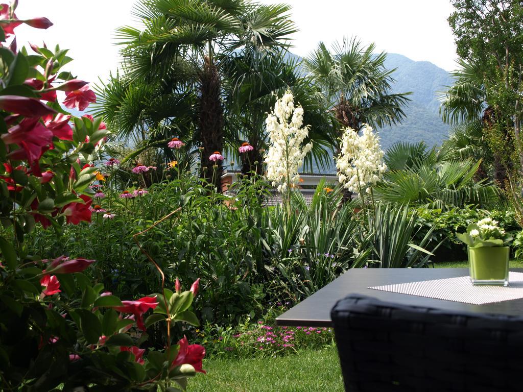 Charme Hotel Barbate Tegna ภายนอก รูปภาพ